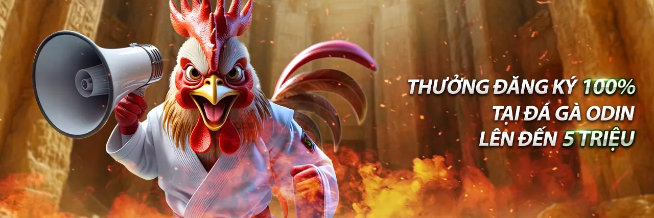 Hình ảnh chủ đạo về bảo mật và quyền riêng tư của code open88